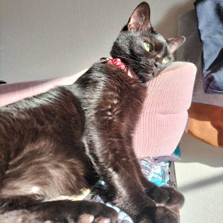 6bb1b2b3 8932 42ff a616 b6b69fc09239 1637016336042