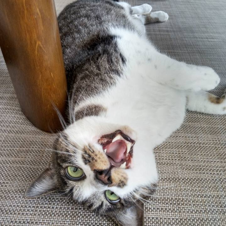 6bb1c3ac 3b2d 4653 9918 34ad2f5decd4 1768447380968