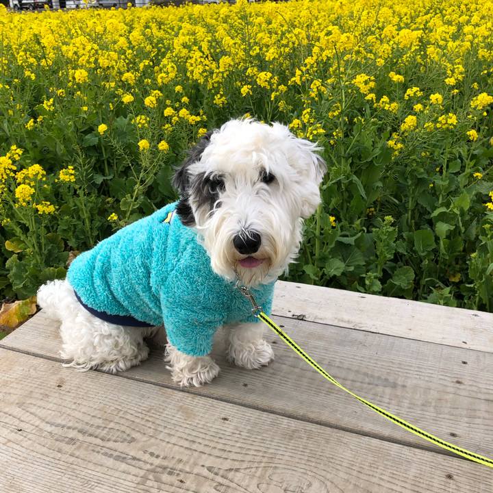 6bb1d2e2 e98c 47c7 b10b 0eb11110d5e9 1552210546025