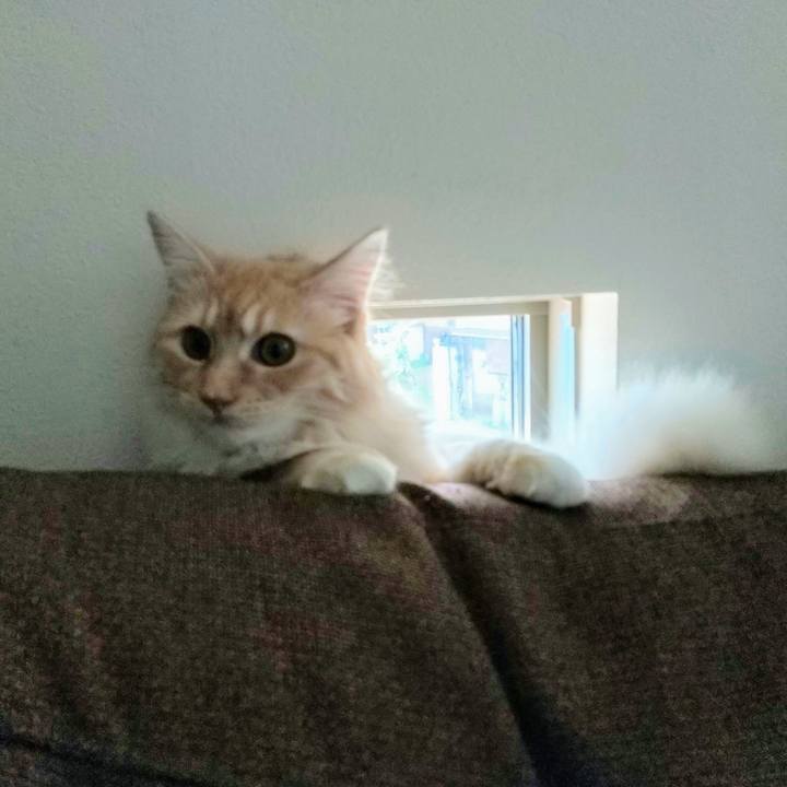 6bb20fa8 fdbb 4472 9bde 91496df66543 1623719257474