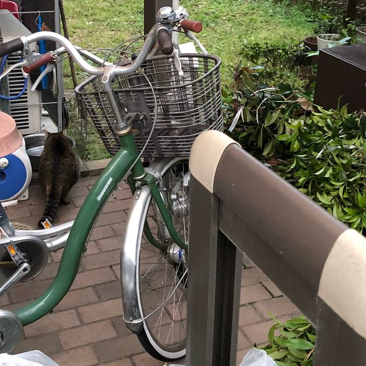 6bb213fb 6320 42de 9488 1fe37e87dc2d 1556482089103