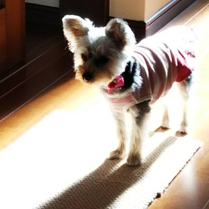 6bb2c2f9 20c1 4532 bdac 09cb280e3a40 1543626222663