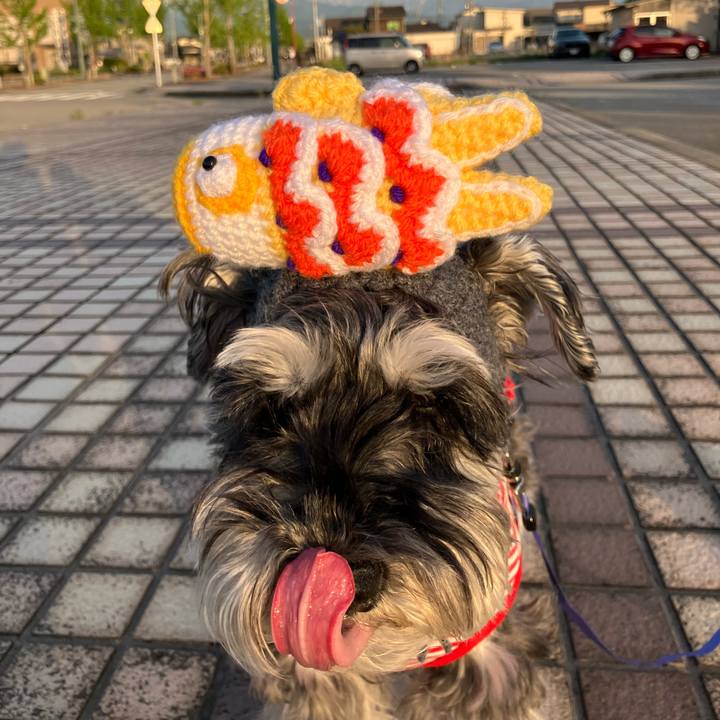 6bb2de53 4200 4529 8e68 c7be78e704f7 1714912173761