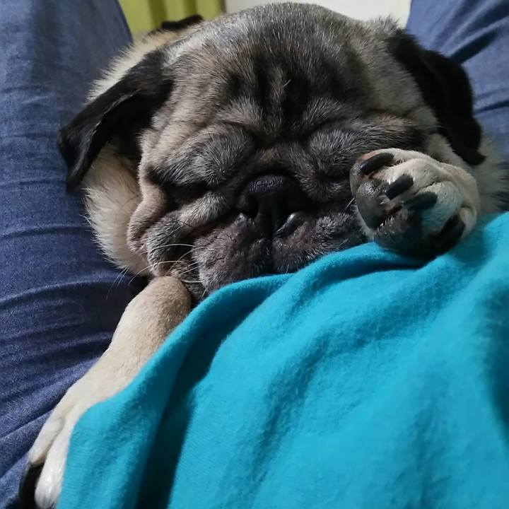 6bb2f114 ba97 448a 944c a1d858f777f9 1530017708085