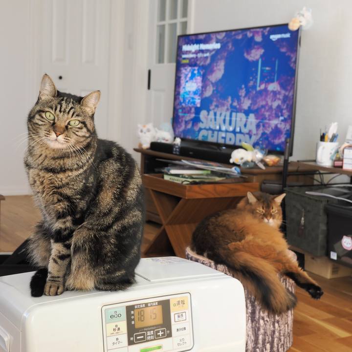 6bb2f671 eb29 437f a320 9d76b32d7328 1765374340010