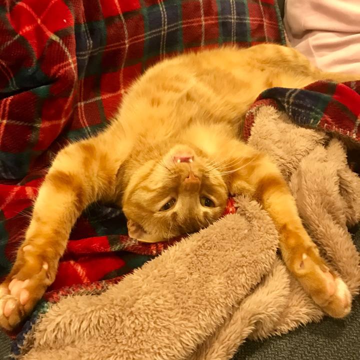 6bb32996 d27d 4c4c 8fde 24b4a4a94073 1589110156236