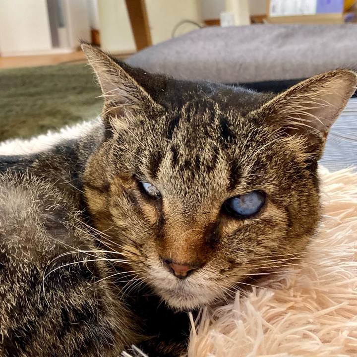 6bb385b8 7e82 4618 82ec 5efe58d82f66 1684975656259