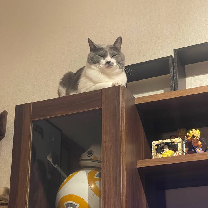 6bb390e9 2ff1 4e1d 917e 89e800818fbc 1665320470979