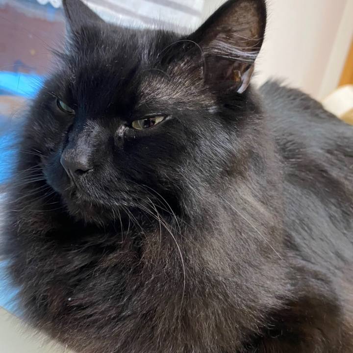 6bb3a4a6 5043 44db 961b 92aa1ec43d79 1580352756598