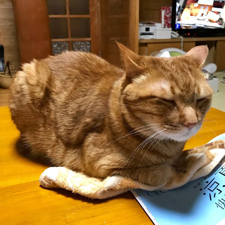 6bb3cc02 917e 47f0 a511 daa413567e36 1558087522152