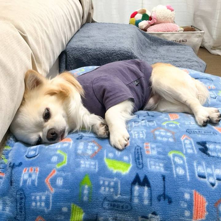 6bb3fb11 0b4d 4172 8af0 33c6b282e5f9 1773453924244