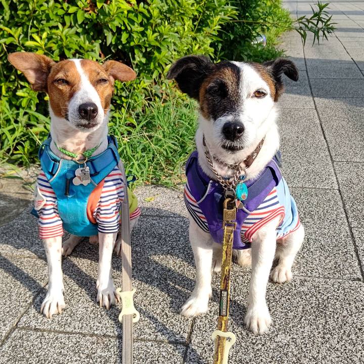 6bb400f8 eaf7 4726 ad95 83d487d87cad 1658441864819