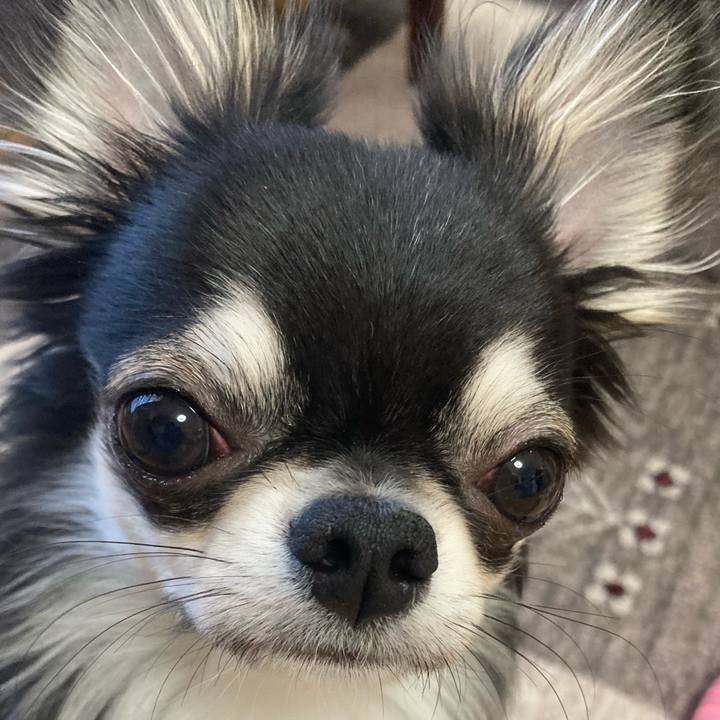 6bb41858 746a 4b05 af43 2d692b70aa67 1613862546473