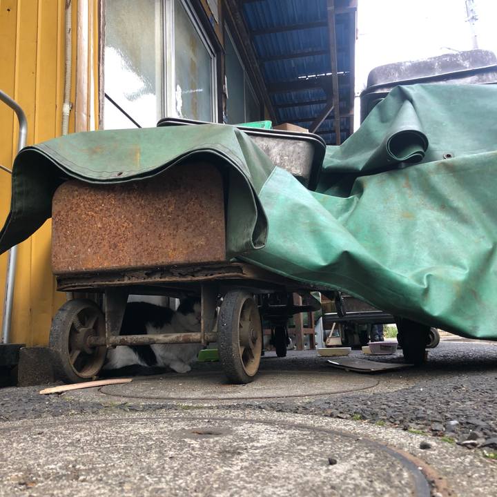 6bb42668 1000 4701 9651 46d7d5690c2a 1612107088808