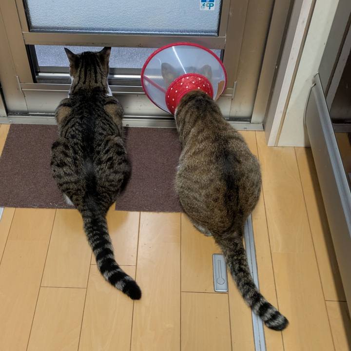 6bb43b3b 9610 4315 b438 8141b53ce74b 1749969107208