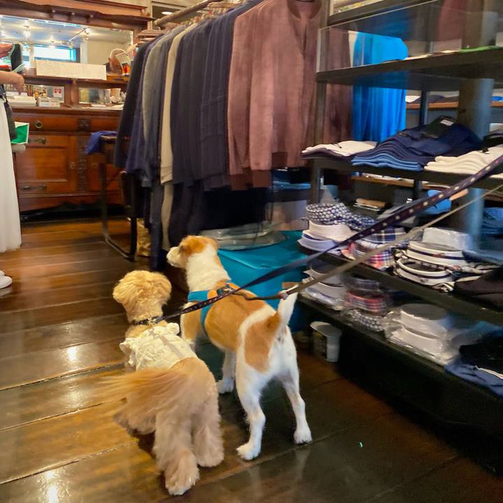 6bb48ce0 16a0 4514 b09e 453bf99a39de 1665404857343