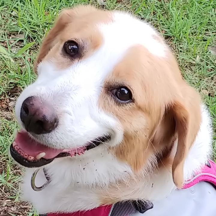 6bb491d3 b49c 407a a8c0 c59a0c3851d7 1536062962517