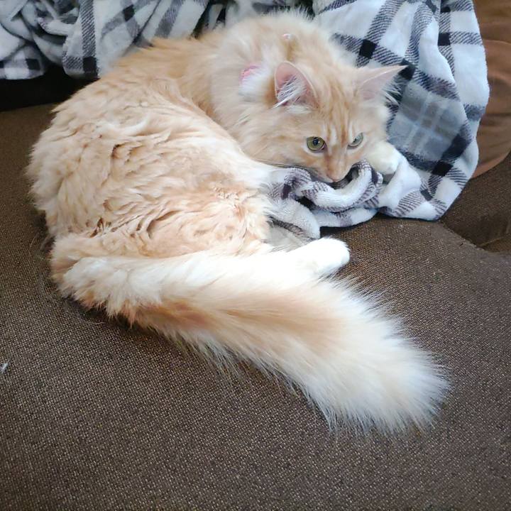 6bb4e79f 54a1 421f 871e 97f4c5af302b 1689890930343