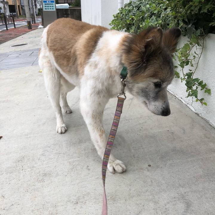 6bb52ea2 8600 4f4f aa77 1cad87947878 1533683842655