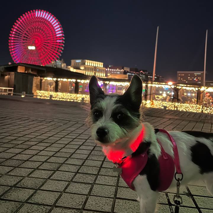 6bb5795d ab2f 4980 9e05 e6e61119099e 1703591234721