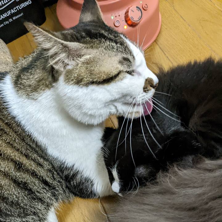 6bb5b991 e617 4d90 84b9 e82bd838b1ed 1668990384322