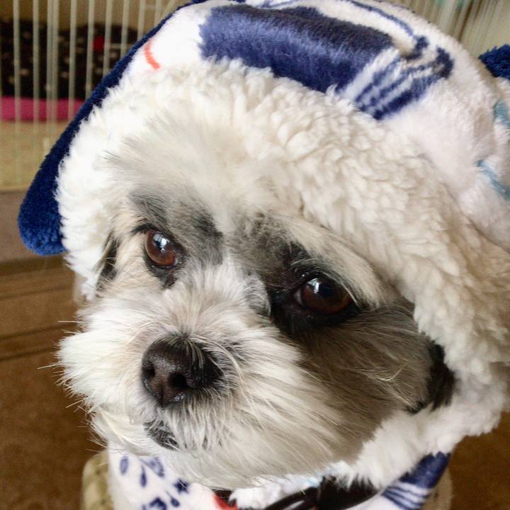 6bb5c810 0324 47d3 83b6 1bd30d68e165 1512422723525