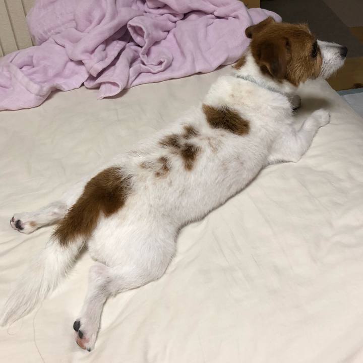 6bb5ca87 1e32 43bb b898 da35d8a4c326 1532080776208