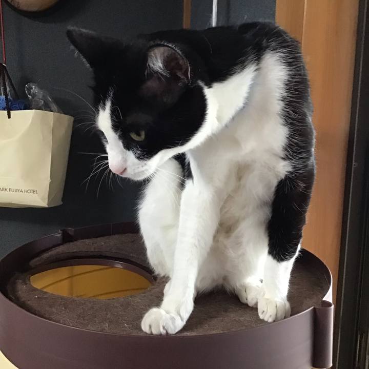 6bb61972 3bac 470e b2d5 fdffe311f44d 1716637820332