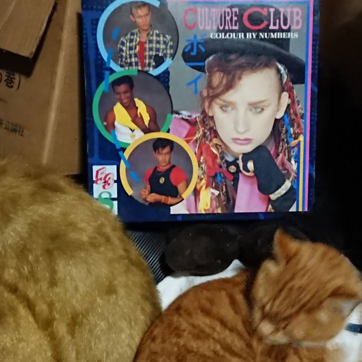 6bb61a7f 746b 45e2 8100 c09ed846b1f6 1604143561872