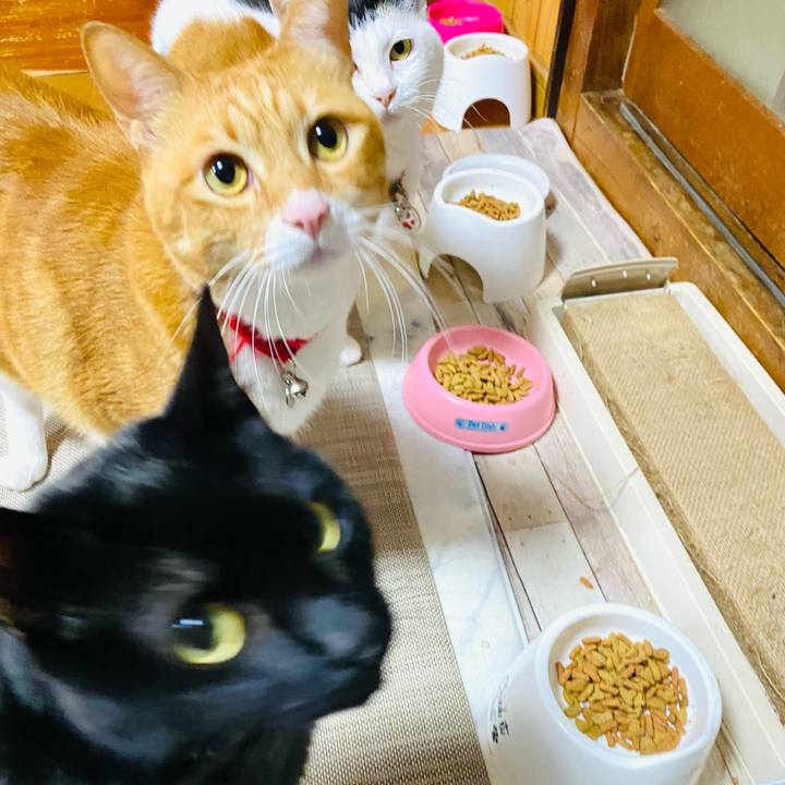 6bb62f10 69e0 482e b603 13d3317f1c4a 1741519390196