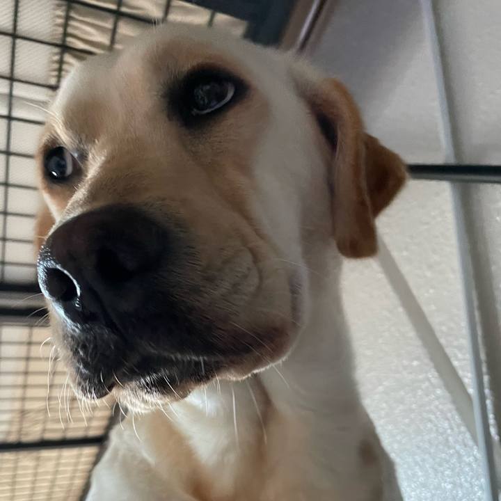 6bb63094 7176 4962 8768 0c0780f53a05 1653192465335