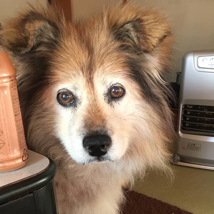 6bb64fc2 a85a 48aa a18f c46960256d8d 1564981250734