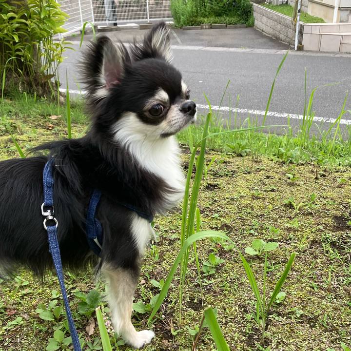 6bb651e8 157f 4573 aa1c 770daa7a7979 1624369461989