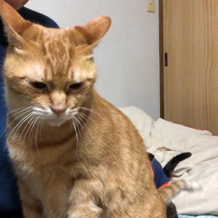 6bb656cb 10ac 4006 bb8d 97ed4ba73137 1730982540811