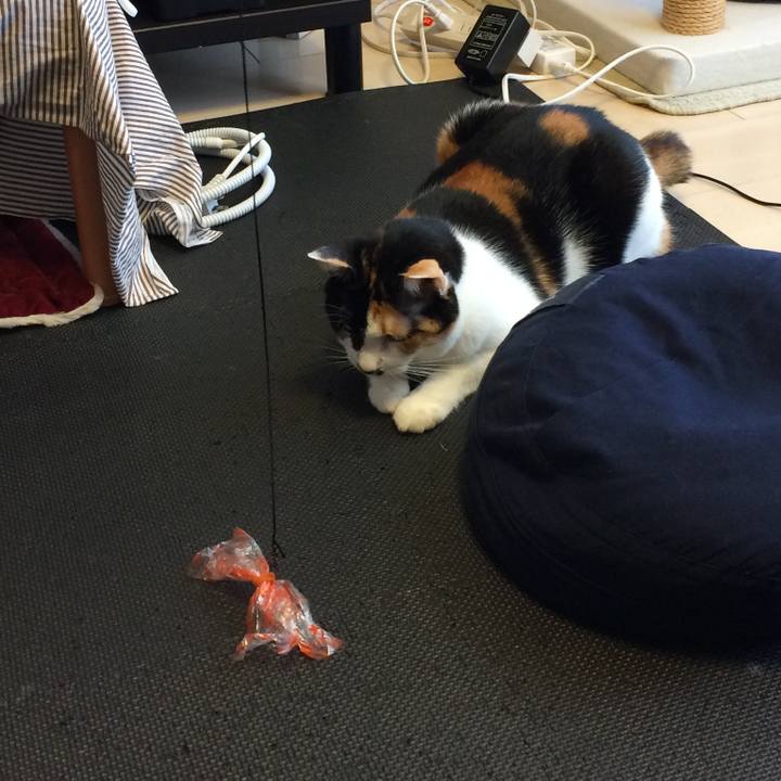 6bb67c29 f4a2 444f add6 f7d0a4f70468 1601559091512