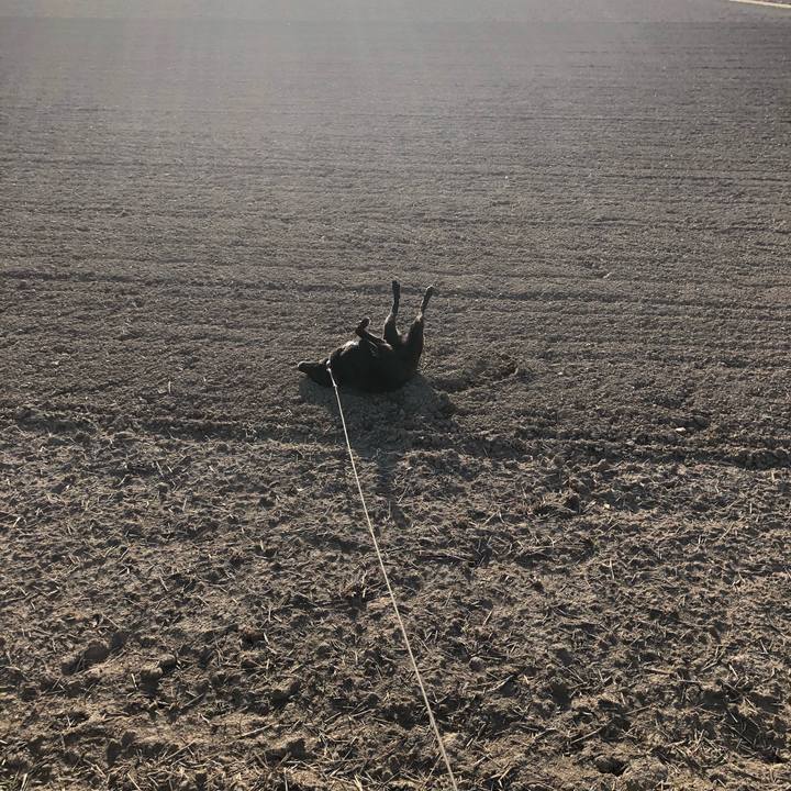 6bb684b0 5ab5 451a 8c73 7bb41d54db98 1584775120434