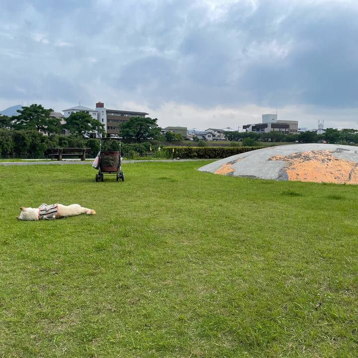 6bb68509 e99d 4340 92b8 e2ed26d8cd18 1655971549814