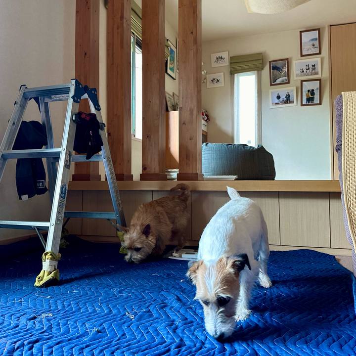 6bb6ad1b 0eb1 4aad 8578 6f5ae1e5f29c 1716692134359