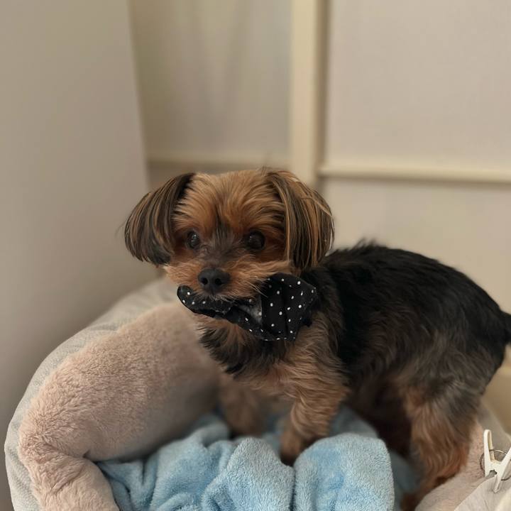 6bb6b0d7 6bd4 419f b0de 8188c2e6f9ba 1641808276429