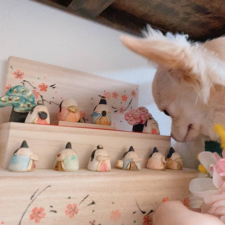 6bb6b1b8 30a3 4989 ad14 25e95c3d12a0 1614721942195