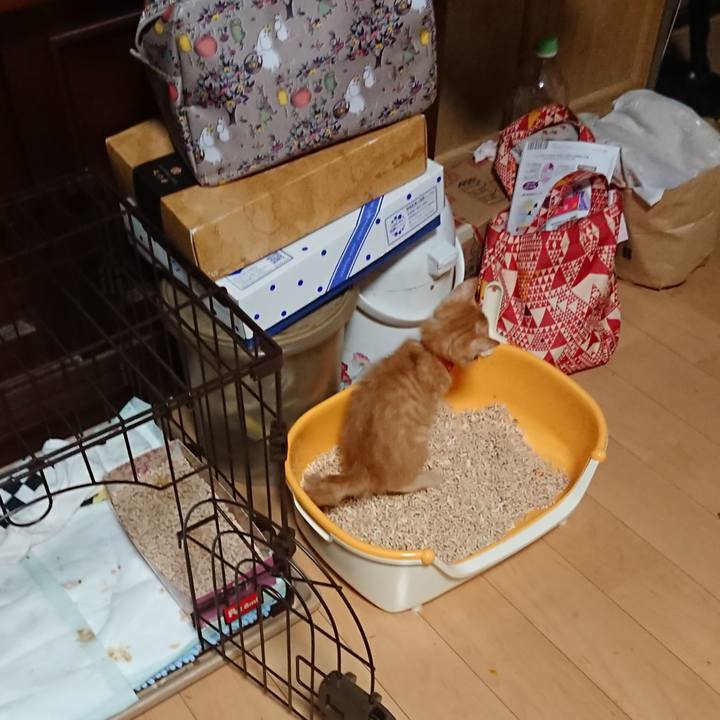 6bb6c47b fec5 4f1a 9ebd 6913fdf07a11 1628542297076