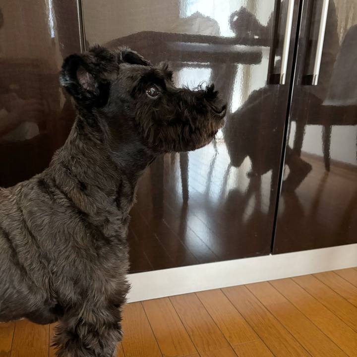 6bb6eaf4 0832 403e 9ec5 e99ecd8b8efb 1755668834043