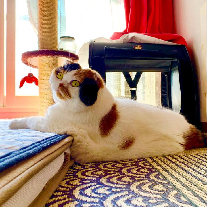 6bb6fd66 2532 45d5 98d1 48c2cf2c293e 1562552011233