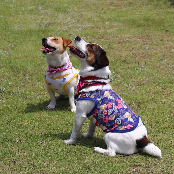 6bb711c3 689b 4936 957a dd0f05c28090 1558858001907