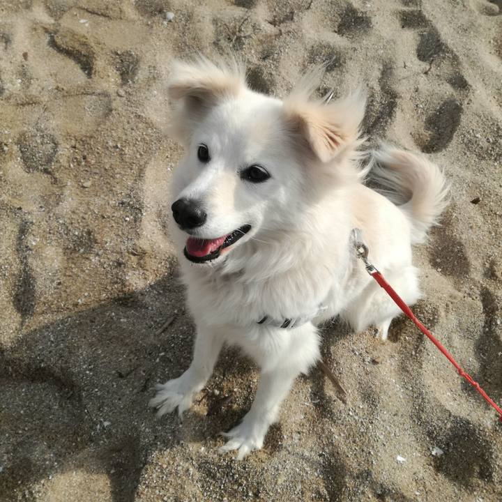 6bb71777 06d2 4fe6 abd4 e568d3ea5264 1517625002113