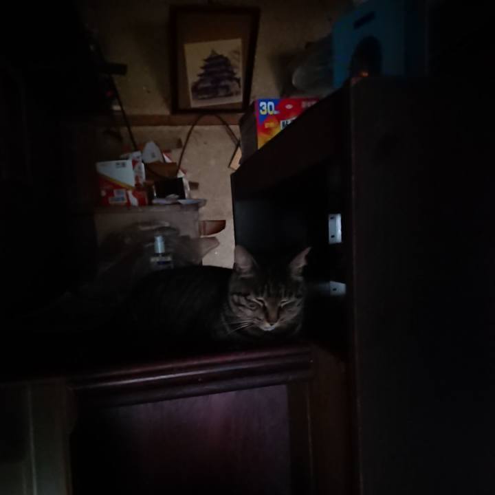 6bb7318e 8e84 44e6 a87d 2dbe7196670b 1659042106432