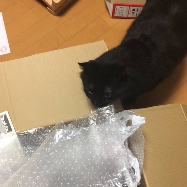 6bb77137 b97c 4ac4 a3c3 124efb59ecea 1532012521875