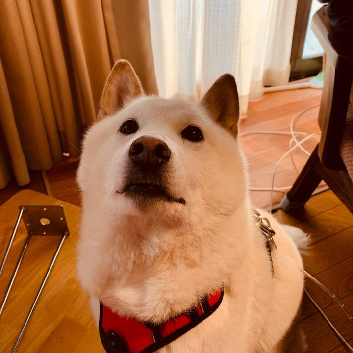 6bb792c2 743b 4fa6 9d8e c259b2c35e52 1610951835329