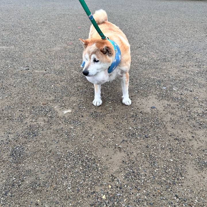 6bb7a74d 6213 43d6 8145 5169cba5a2d8 1754873603421