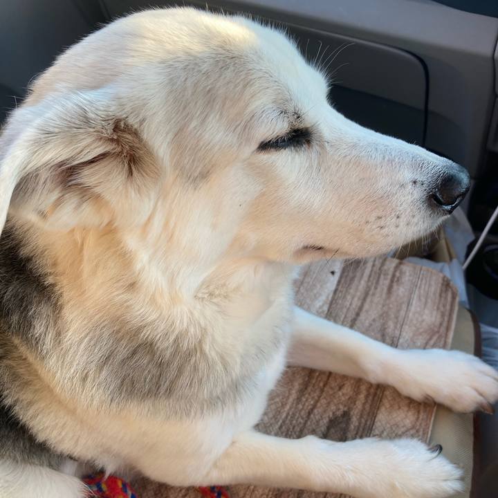 6bb7bf45 0c75 4894 9692 0001a17d3a8d 1732464632493